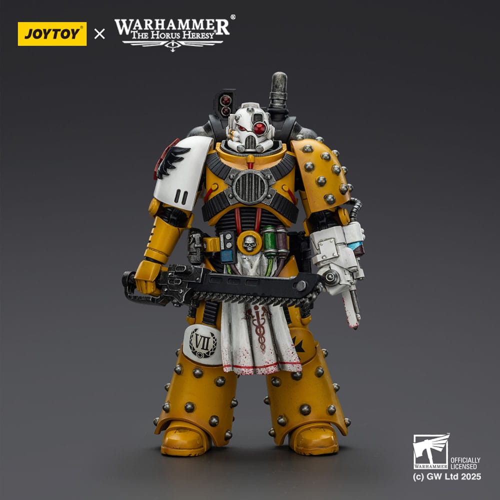 Warhammer 40,000: imperial Fists figurine Legion Apothecary 12 cm