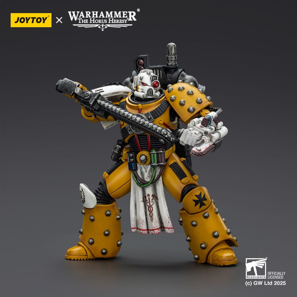 Warhammer 40,000: imperial Fists figurine Legion Apothecary 12 cm
