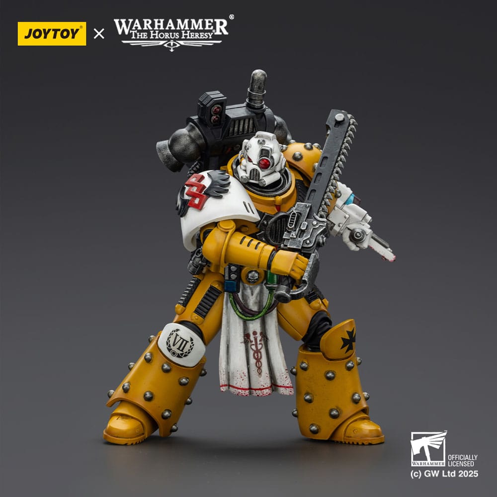 Warhammer 40,000: imperial Fists figurine Legion Apothecary 12 cm